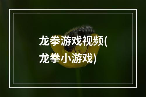 龙拳游戏视频(龙拳小游戏)