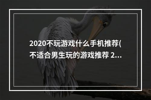 2020不玩游戏什么手机推荐(不适合男生玩的游戏推荐 2022不适合男生玩的游戏有哪些)