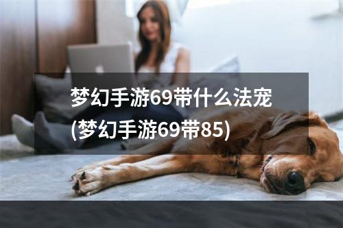 梦幻手游69带什么法宠(梦幻手游69带85)