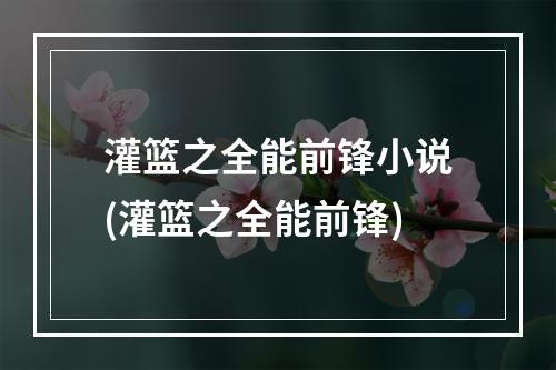 灌篮之全能前锋小说(灌篮之全能前锋)