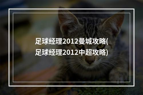 足球经理2012曼城攻略(足球经理2012中超攻略)