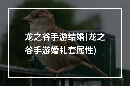 龙之谷手游结婚(龙之谷手游婚礼套属性)