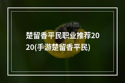 楚留香平民职业推荐2020(手游楚留香平民)