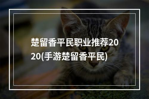 楚留香平民职业推荐2020(手游楚留香平民)