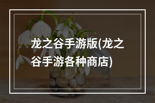 龙之谷手游版(龙之谷手游各种商店)