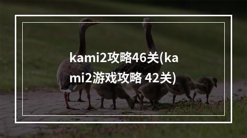 kami2攻略46关(kami2游戏攻略 42关)