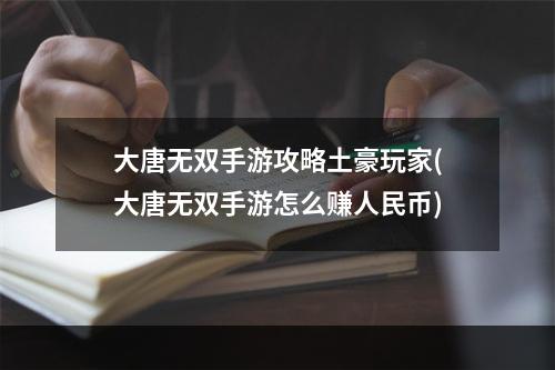 大唐无双手游攻略土豪玩家(大唐无双手游怎么赚人民币)