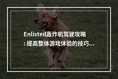 Enlisted轰炸机驾驶攻略: 提高整体游戏体验的技巧和飞行指南