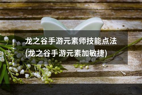 龙之谷手游元素师技能点法(龙之谷手游元素加敏捷)