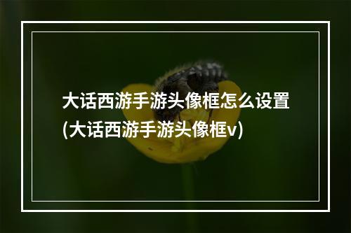 大话西游手游头像框怎么设置(大话西游手游头像框v)