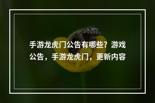 手游龙虎门公告有哪些？游戏公告，手游龙虎门，更新内容