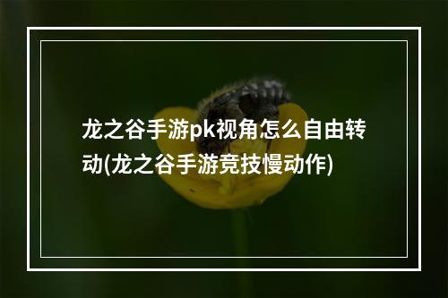 龙之谷手游pk视角怎么自由转动(龙之谷手游竞技慢动作)