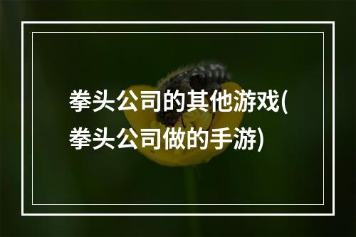 拳头公司的其他游戏(拳头公司做的手游)