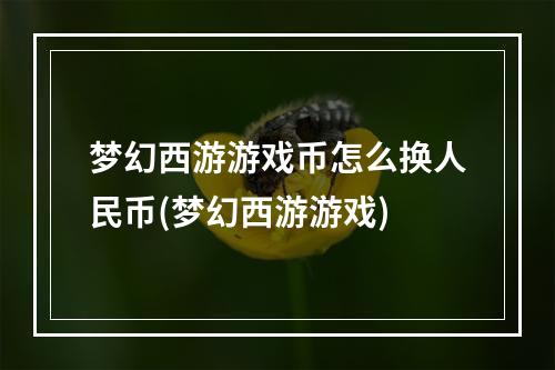 梦幻西游游戏币怎么换人民币(梦幻西游游戏)