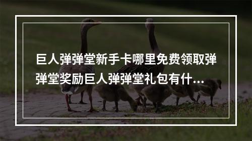 巨人弹弹堂新手卡哪里免费领取弹弹堂奖励巨人弹弹堂礼包有什么(嘟嘟弹弹堂)