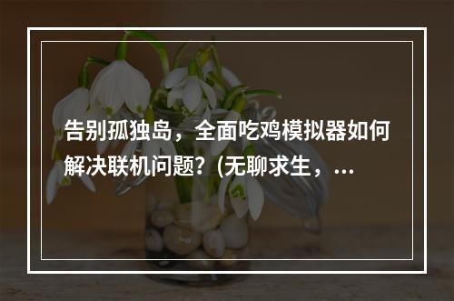 告别孤独岛，全面吃鸡模拟器如何解决联机问题？(无聊求生，全面吃鸡模拟器匹配不到人怎么办？)