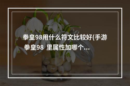 拳皇98用什么符文比较好(手游 拳皇98  里属性加哪个)