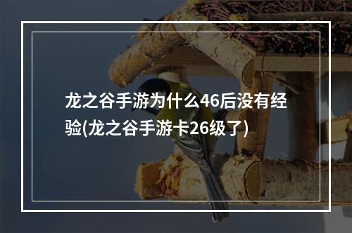 龙之谷手游为什么46后没有经验(龙之谷手游卡26级了)