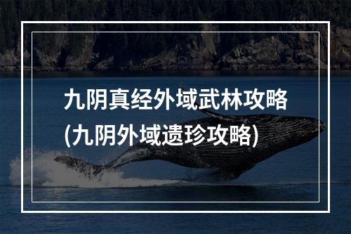 九阴真经外域武林攻略(九阴外域遗珍攻略)