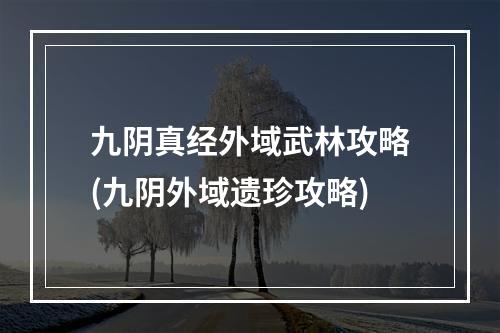 九阴真经外域武林攻略(九阴外域遗珍攻略)