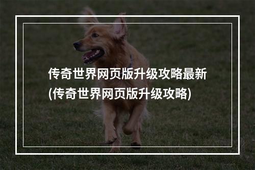 传奇世界网页版升级攻略最新(传奇世界网页版升级攻略)