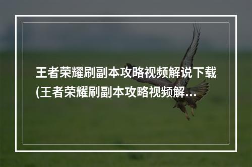 王者荣耀刷副本攻略视频解说下载(王者荣耀刷副本攻略视频解说)