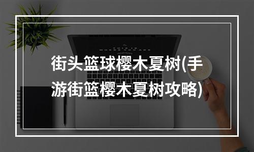 街头篮球樱木夏树(手游街篮樱木夏树攻略)