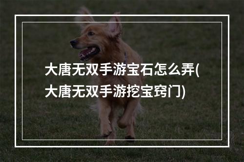 大唐无双手游宝石怎么弄(大唐无双手游挖宝窍门)