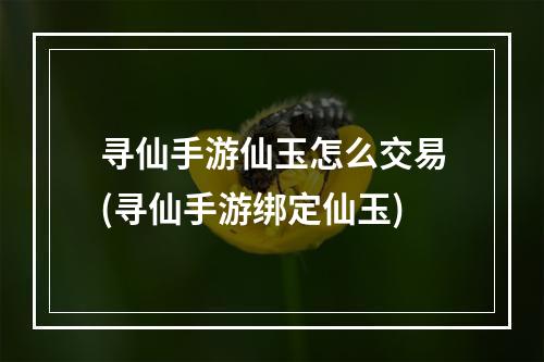 寻仙手游仙玉怎么交易(寻仙手游绑定仙玉)