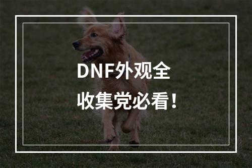 DNF外观全收集党必看！