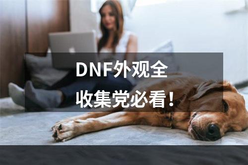 DNF外观全收集党必看！