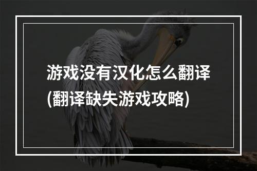 游戏没有汉化怎么翻译(翻译缺失游戏攻略)