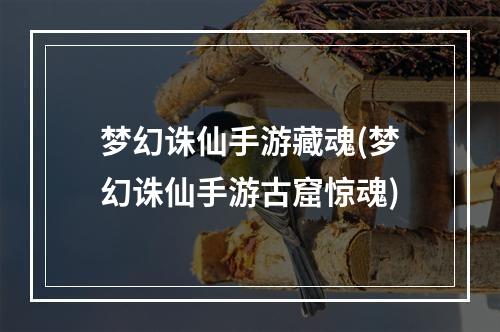 梦幻诛仙手游藏魂(梦幻诛仙手游古窟惊魂)