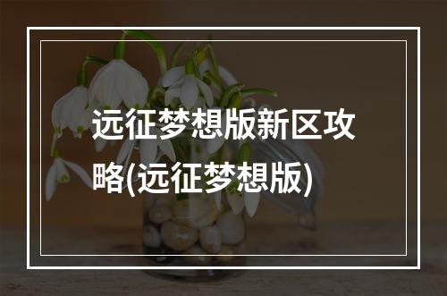 远征梦想版新区攻略(远征梦想版)