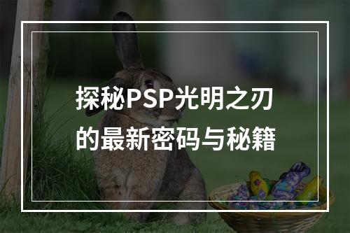 探秘PSP光明之刃的最新密码与秘籍