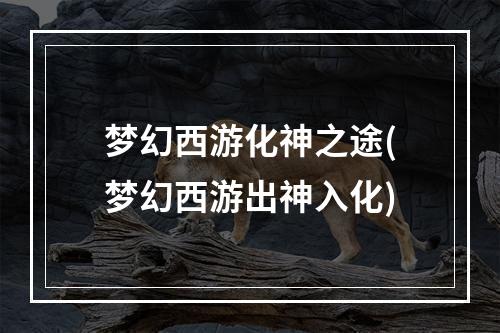 梦幻西游化神之途(梦幻西游出神入化)