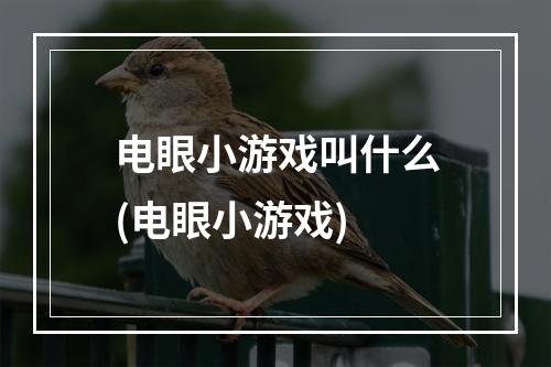 电眼小游戏叫什么(电眼小游戏)