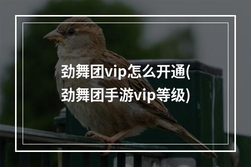 劲舞团vip怎么开通(劲舞团手游vip等级)