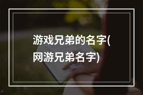 游戏兄弟的名字(网游兄弟名字)