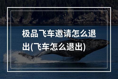 极品飞车邀请怎么退出(飞车怎么退出)