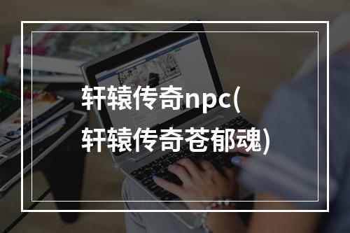 轩辕传奇npc(轩辕传奇苍郁魂)