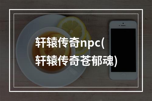 轩辕传奇npc(轩辕传奇苍郁魂)