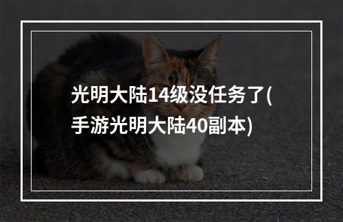 光明大陆14级没任务了(手游光明大陆40副本)