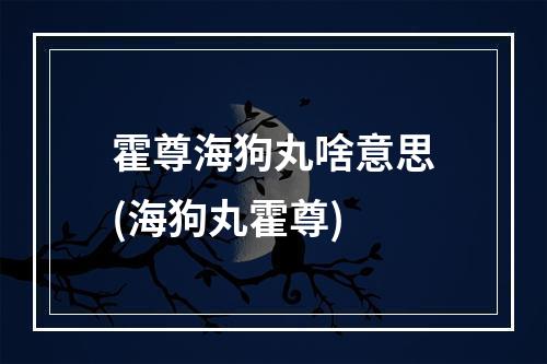 霍尊海狗丸啥意思(海狗丸霍尊)