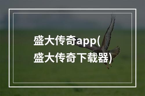 盛大传奇app(盛大传奇下载器)