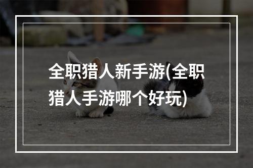 全职猎人新手游(全职猎人手游哪个好玩)