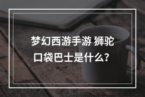 梦幻西游手游 狮驼 口袋巴士是什么？