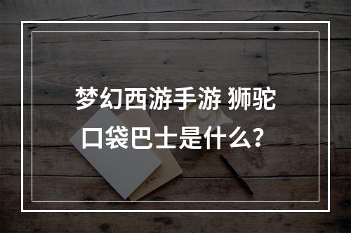 梦幻西游手游 狮驼 口袋巴士是什么？