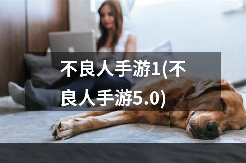 不良人手游1(不良人手游5.0)