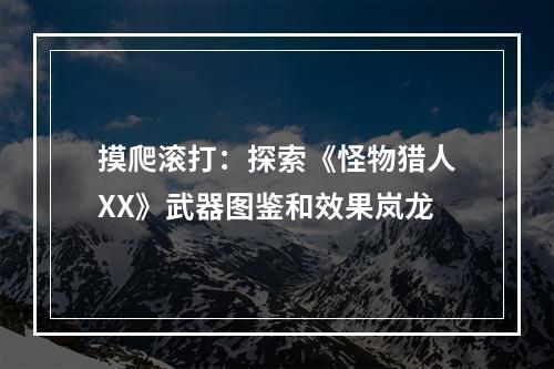 摸爬滚打：探索《怪物猎人XX》武器图鉴和效果岚龙